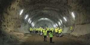 túnel el bicho