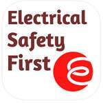home electrical safety check logo
