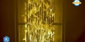 test fuego cpr